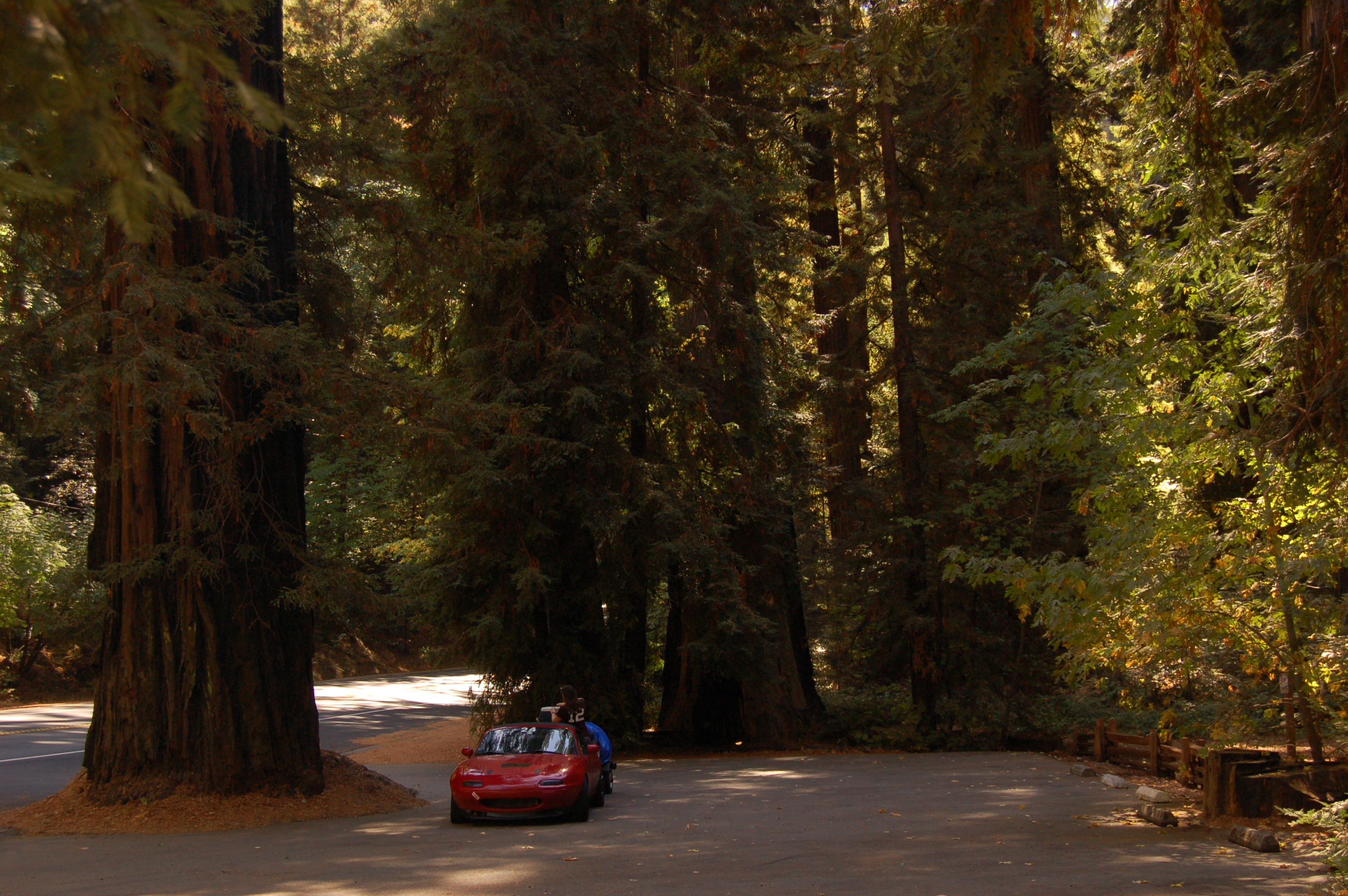 Name:  J3QZREh.jpg
Views: 47
Size:  2.89 MB