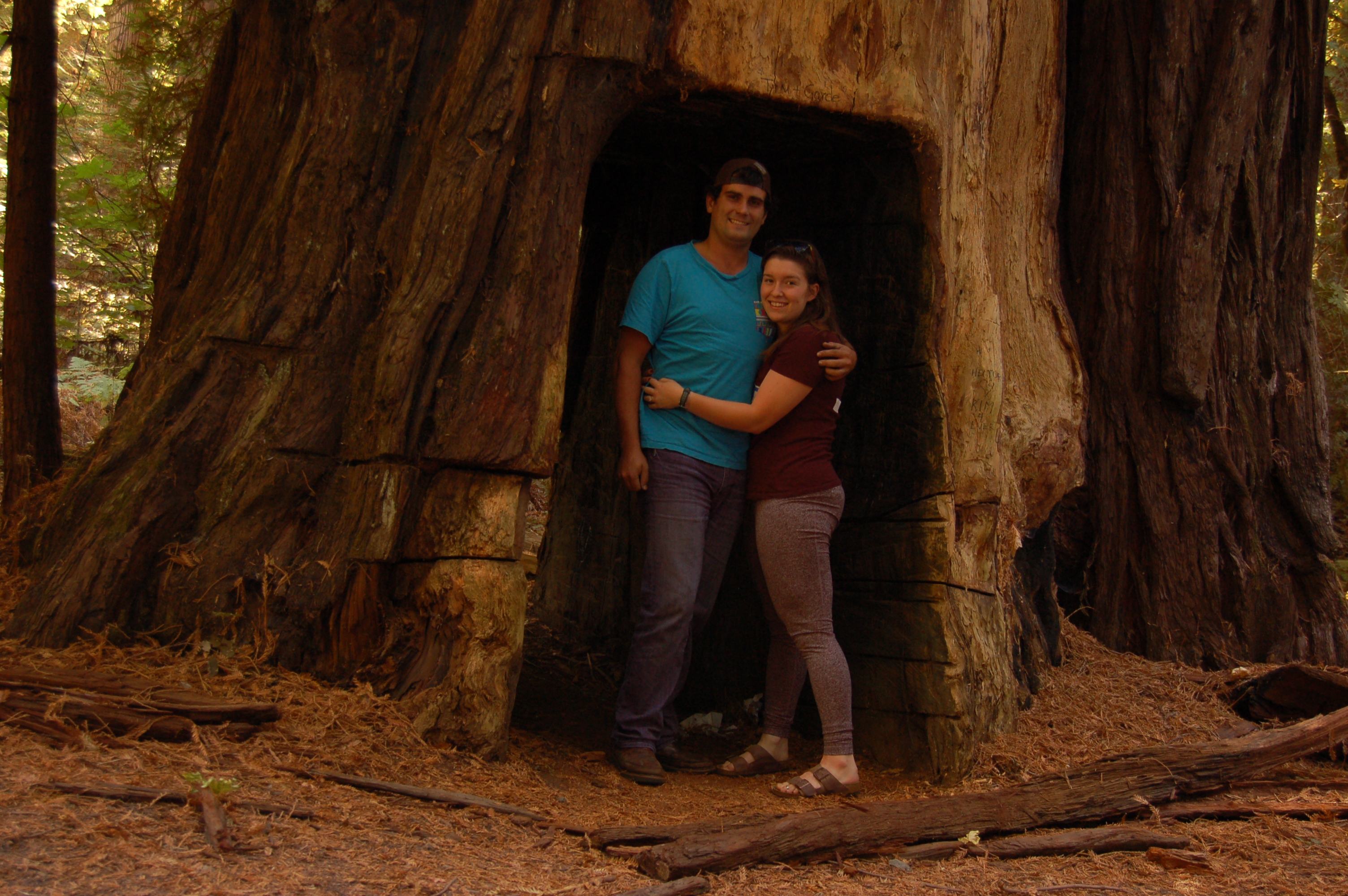 Name:  QDZD9zf.jpg
Views: 47
Size:  2.52 MB