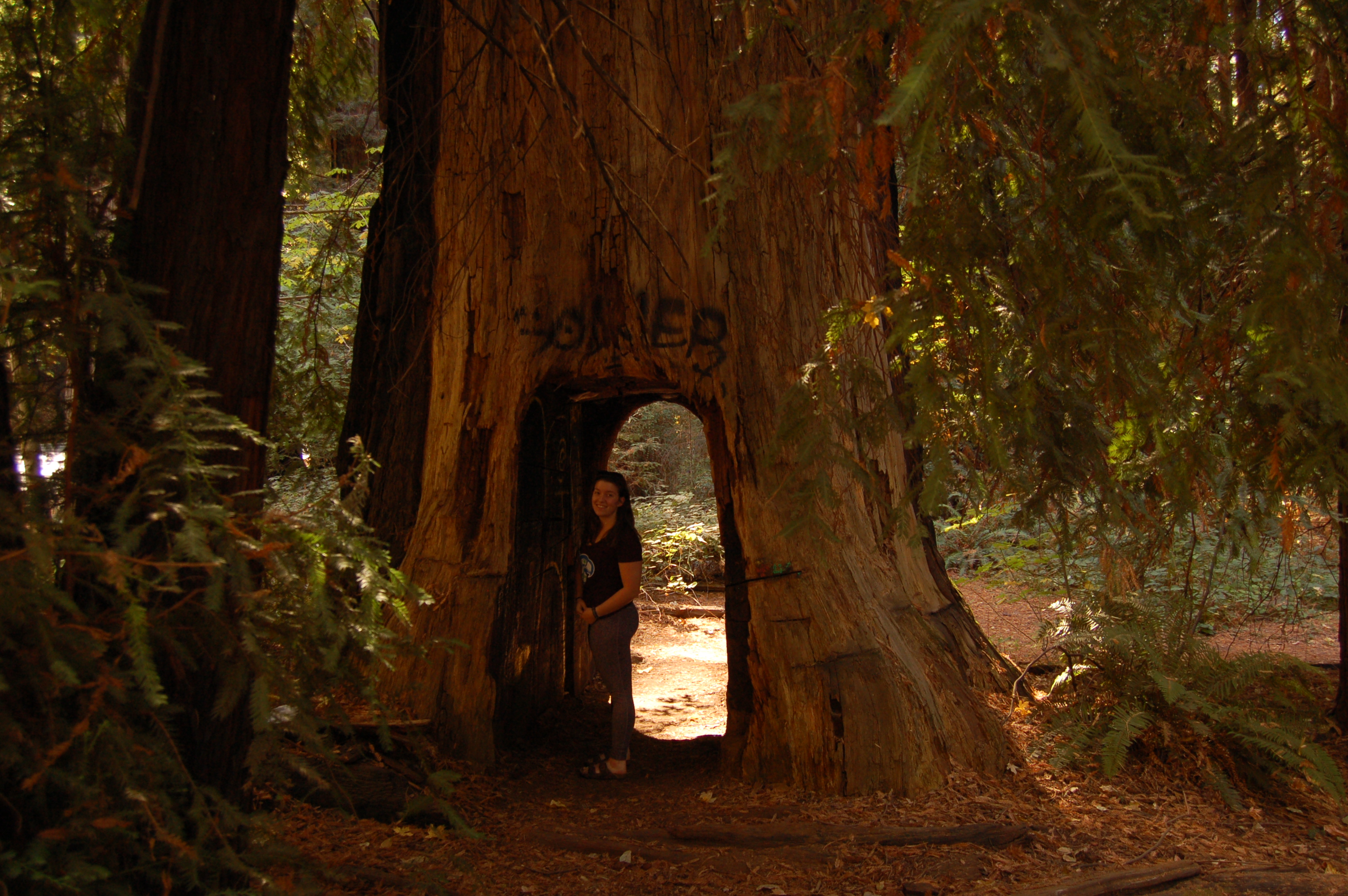 Name:  6RPBFM9.jpg
Views: 48
Size:  2.59 MB