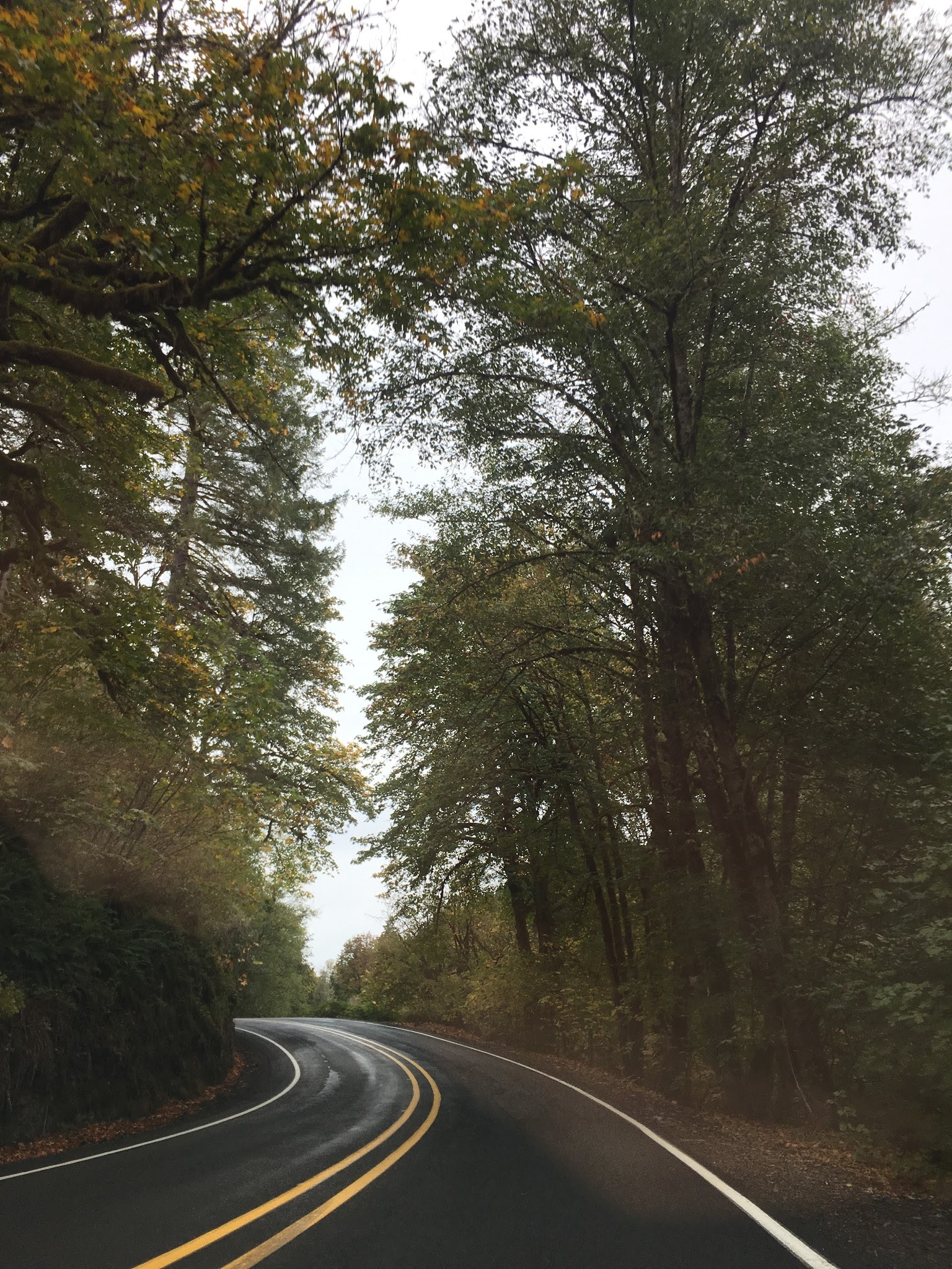 Name:  muTqzz7.jpg
Views: 48
Size:  1.04 MB