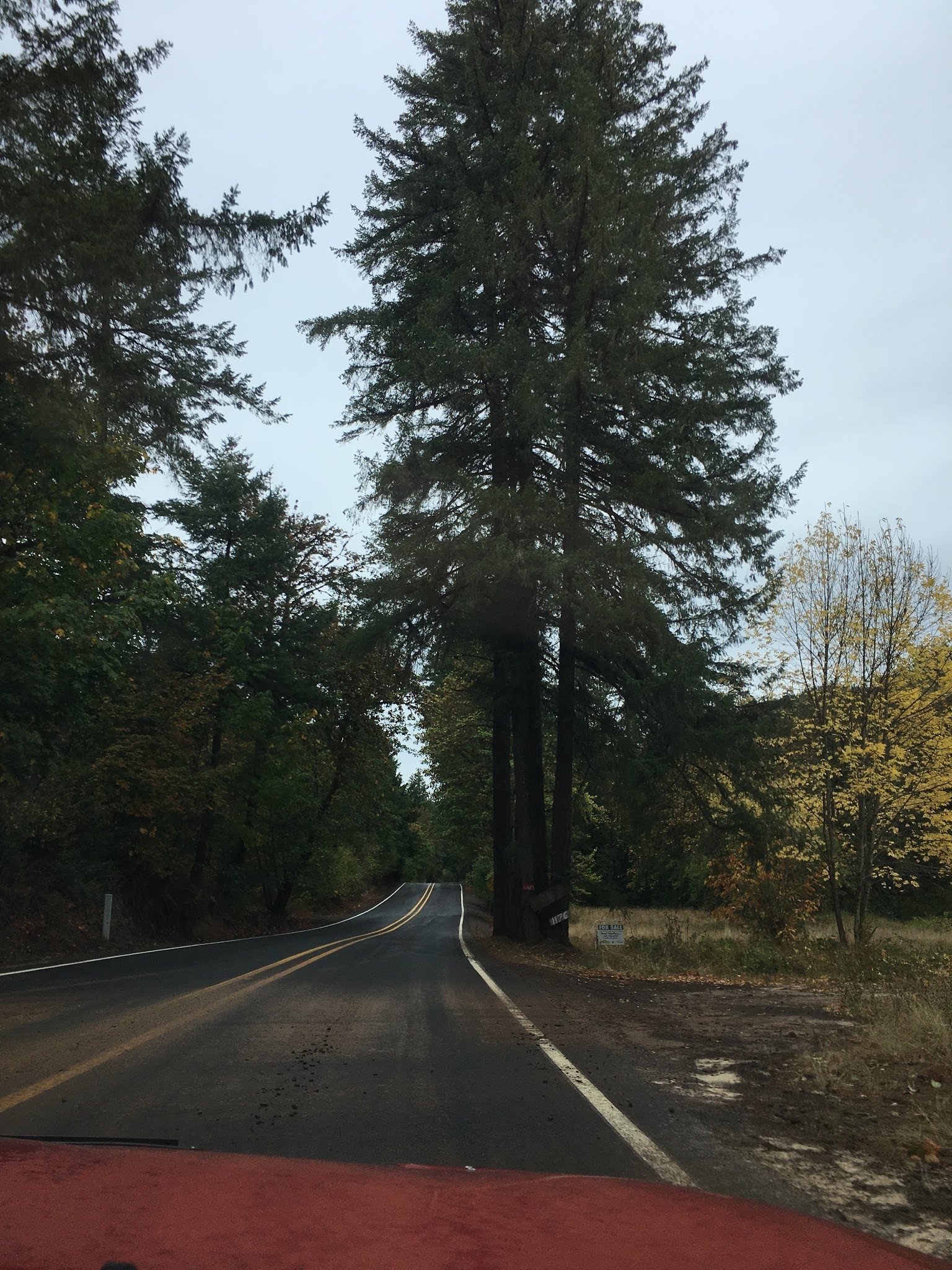 Name:  j7qf2zz.jpg
Views: 49
Size:  862.6 KB