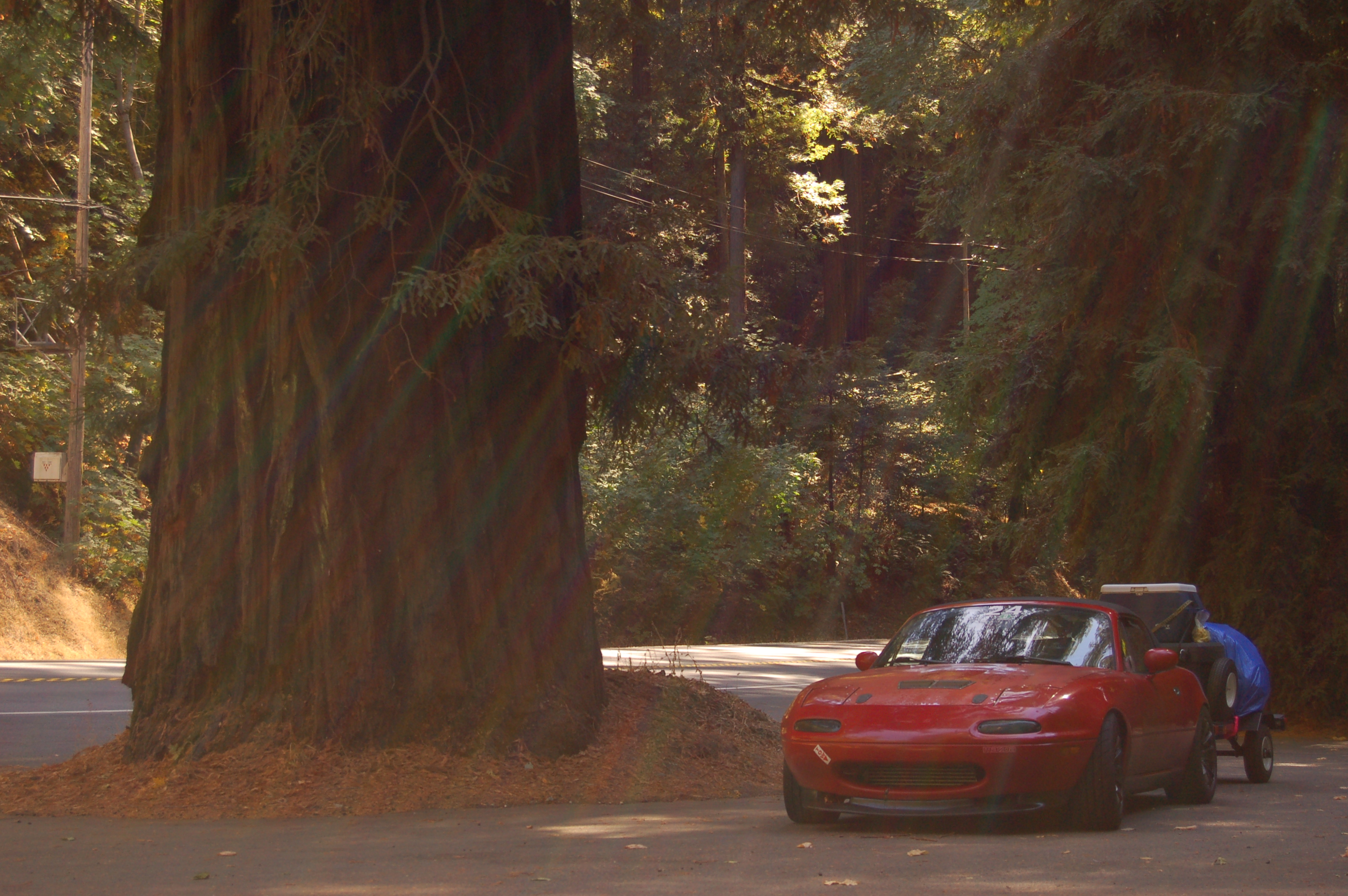 Name:  4M3V2uP.jpg
Views: 53
Size:  2.27 MB