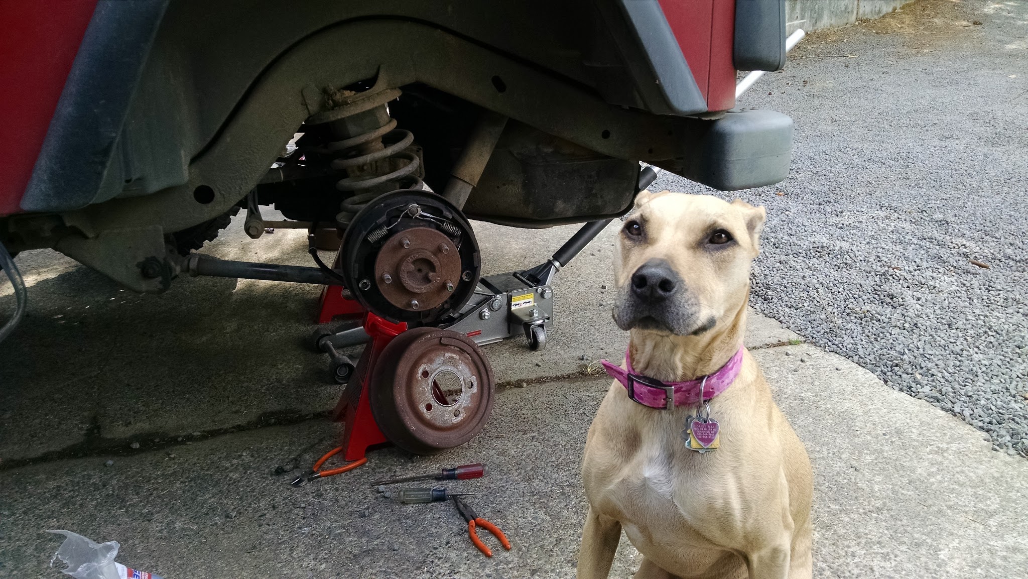 Name:  mchY2tW.jpg
Views: 34
Size:  656.7 KB