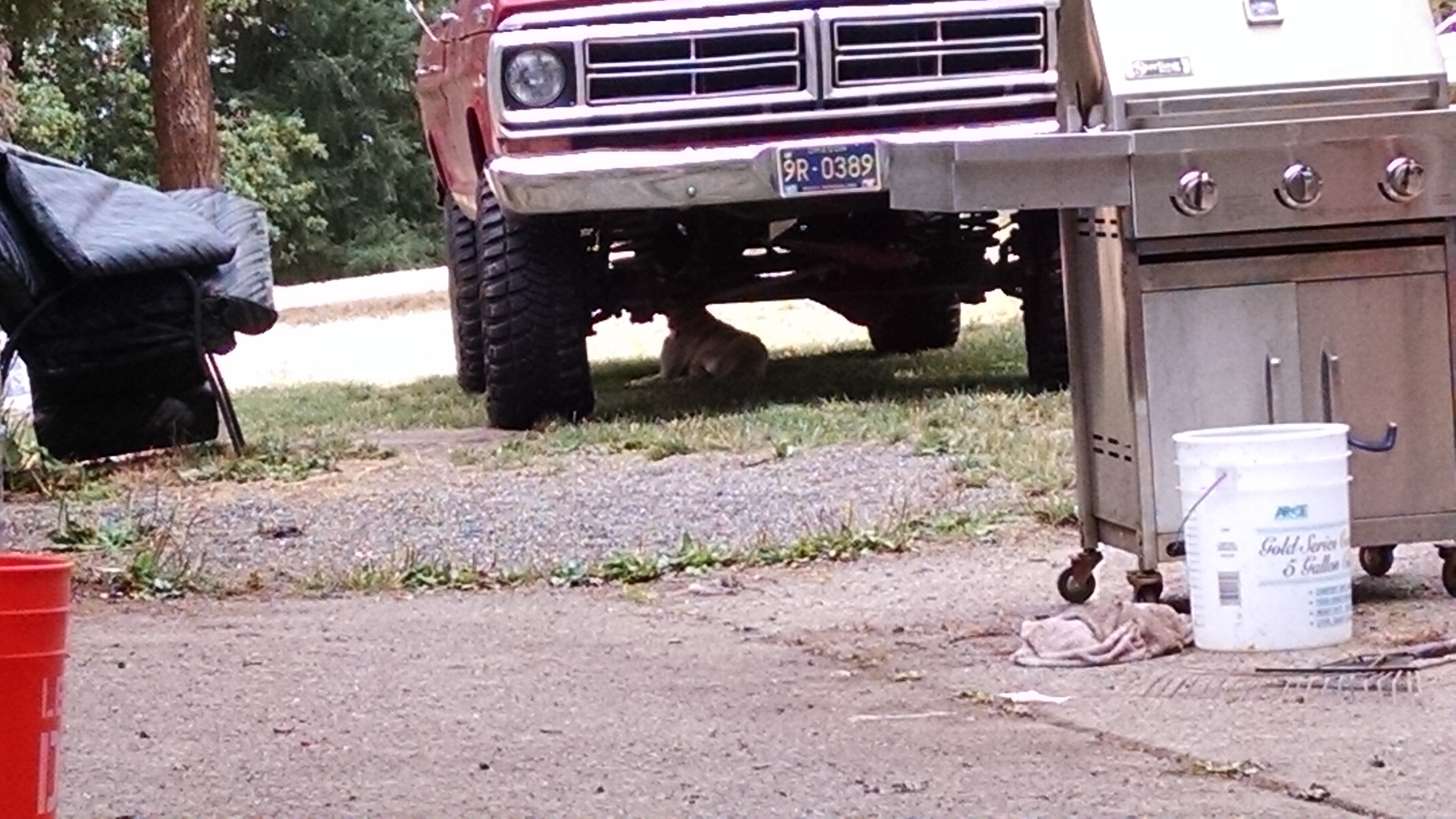 Name:  aM3ajNU.jpg
Views: 69
Size:  916.3 KB