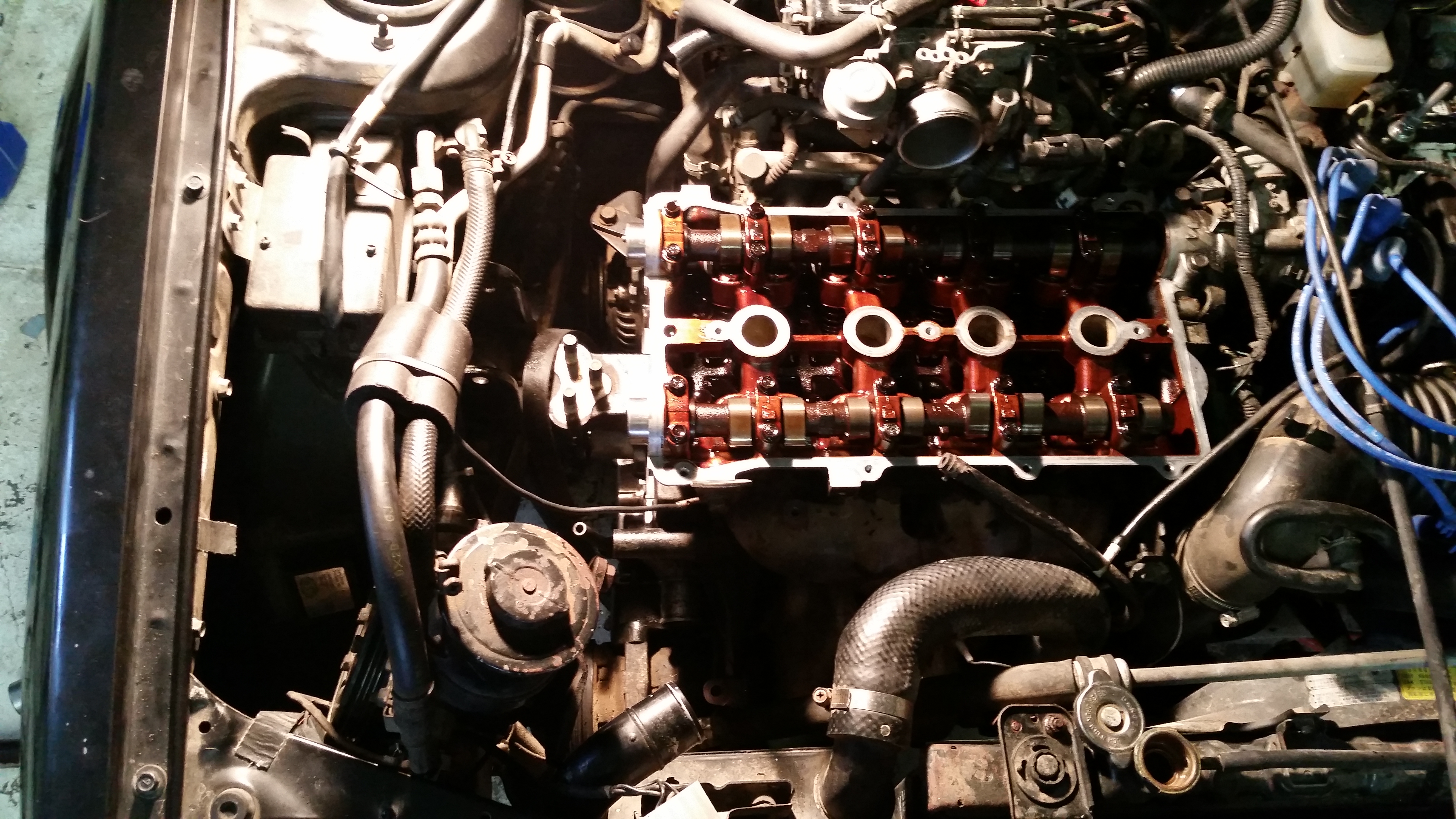 Name:  0IwvWvb.jpg
Views: 121
Size:  4.49 MB