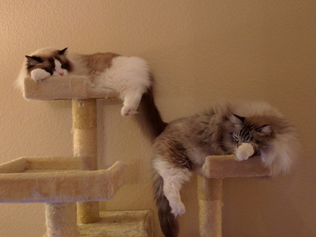 Name:  d6vWhrEh.jpg
Views: 45
Size:  88.6 KB