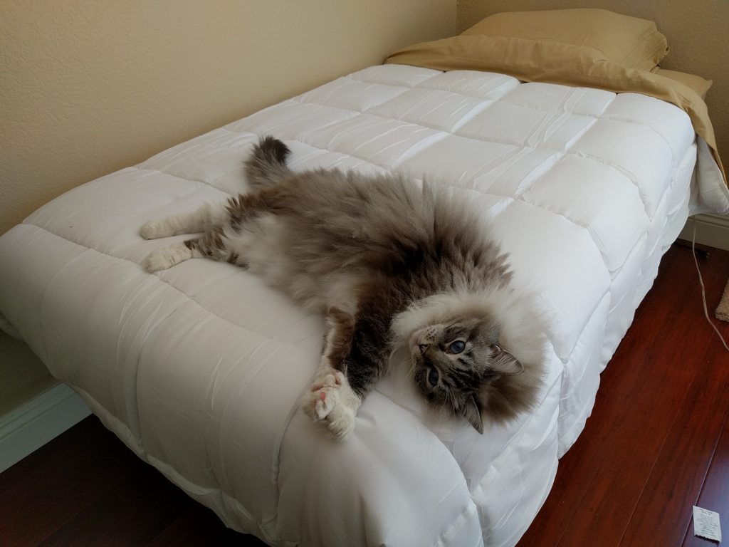 Name:  cPo6Luxh.jpg
Views: 45
Size:  83.3 KB