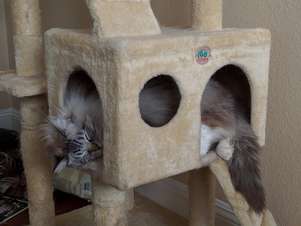 Name:  Xg7Tzv3h.jpg
Views: 44
Size:  128.8 KB