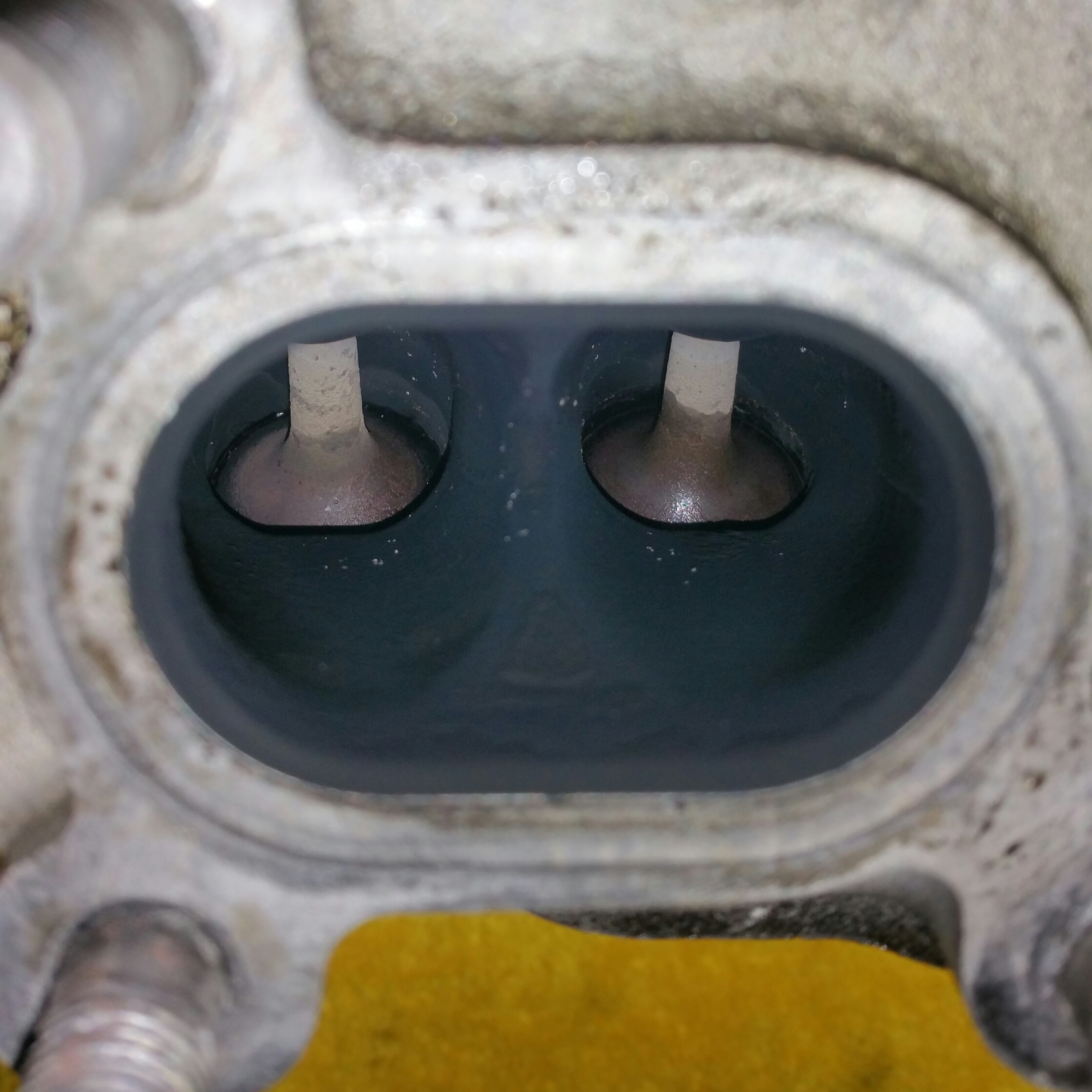 Name:  PvFZW2x.jpg
Views: 46
Size:  2.28 MB