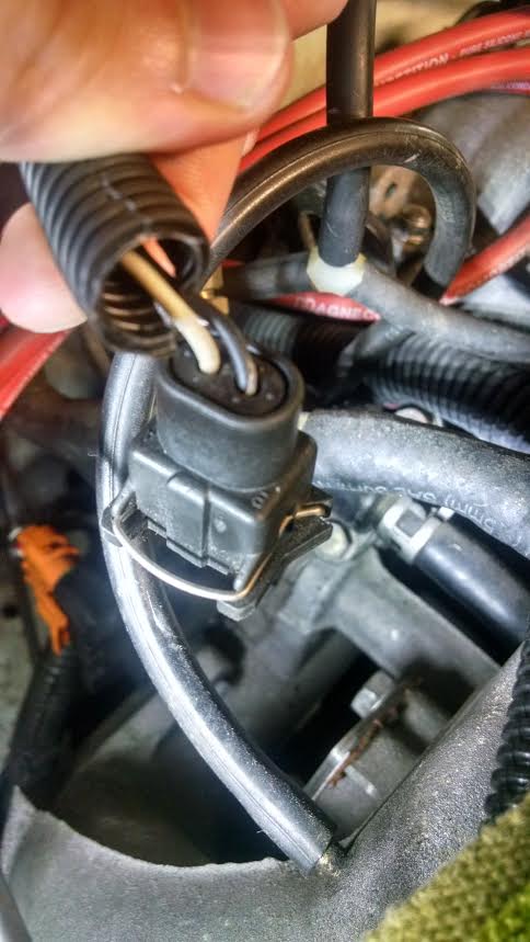 Name:  DHo7sGA.jpg
Views: 20
Size:  47.3 KB