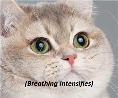 Name:  plPnqdjl.jpg
Views: 49
Size:  34.5 KB