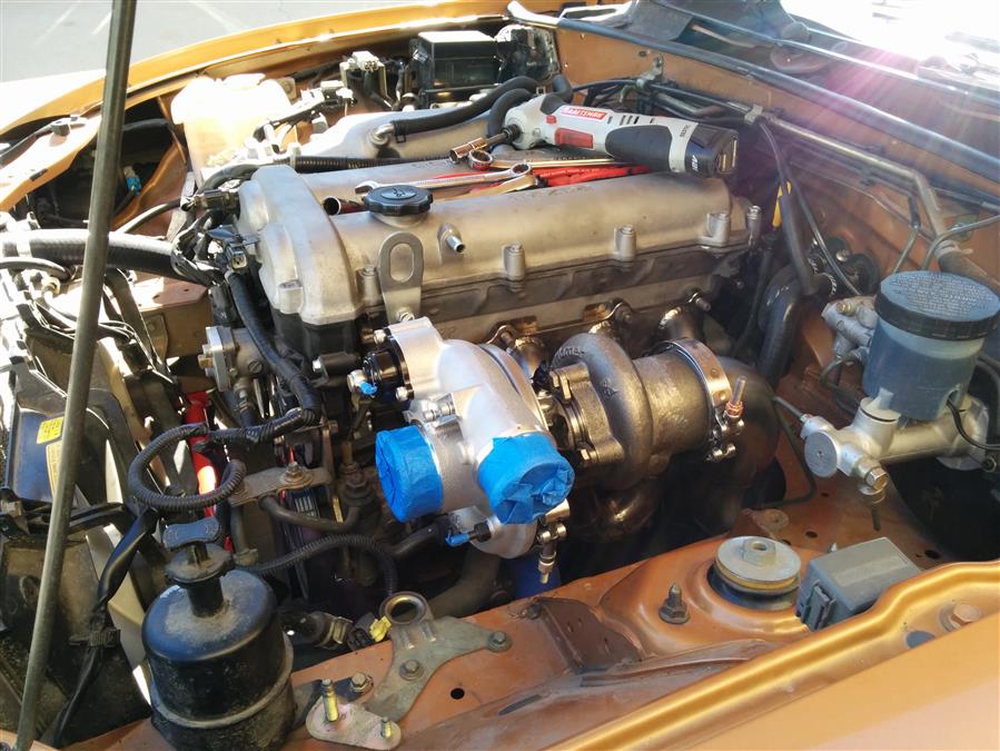 Name:  Zoe6ndg.jpg
Views: 111
Size:  106.2 KB