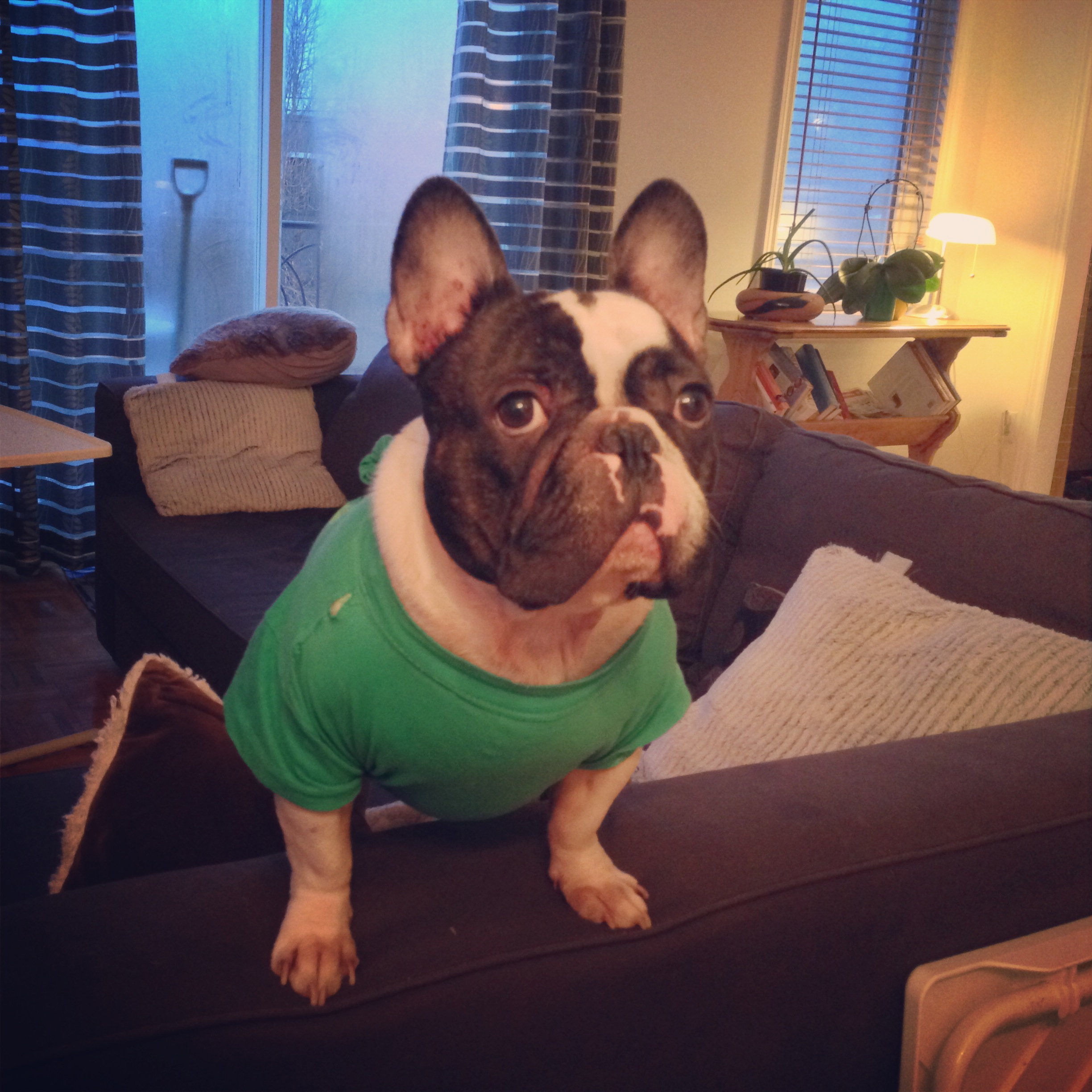 Name:  UaSHRQs.jpg
Views: 46
Size:  942.5 KB