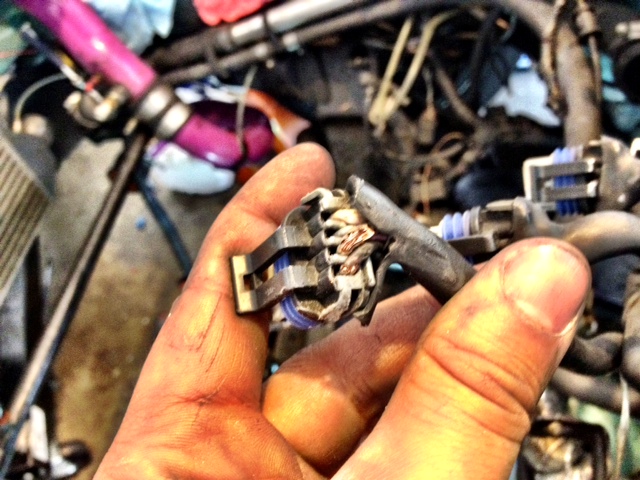 Name:  OkIQF.jpg
Views: 39
Size:  138.3 KB