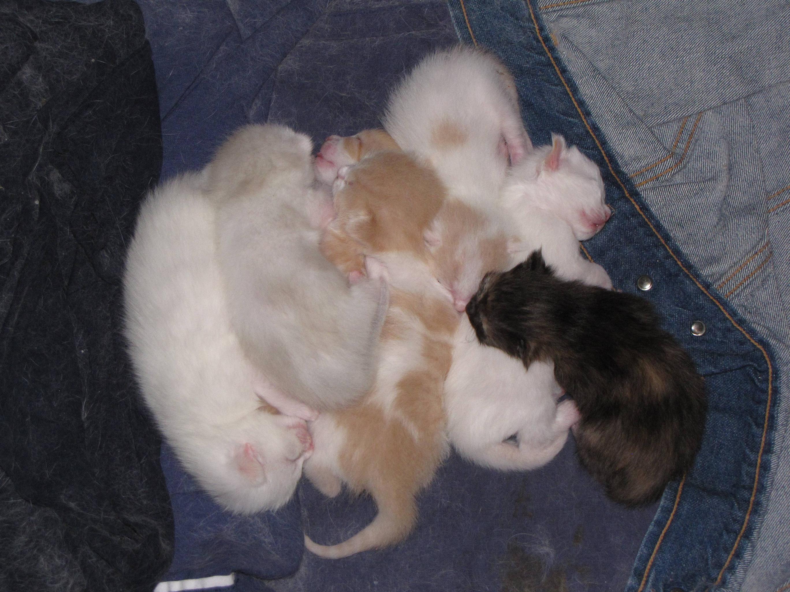 Name:  pfVBB.jpg
Views: 86
Size:  748.0 KB