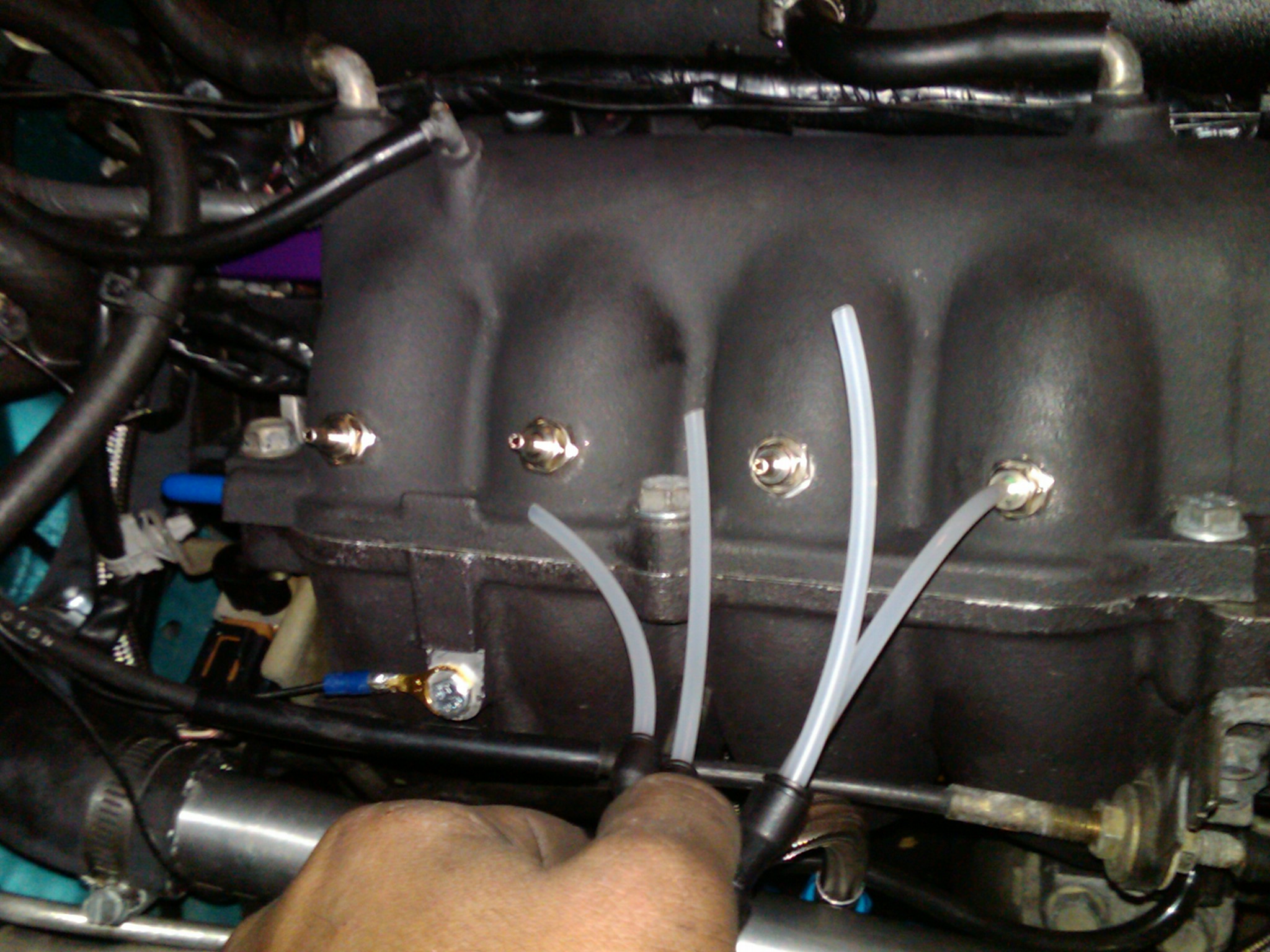 Name:  wMoww.jpg
Views: 82
Size:  492.4 KB