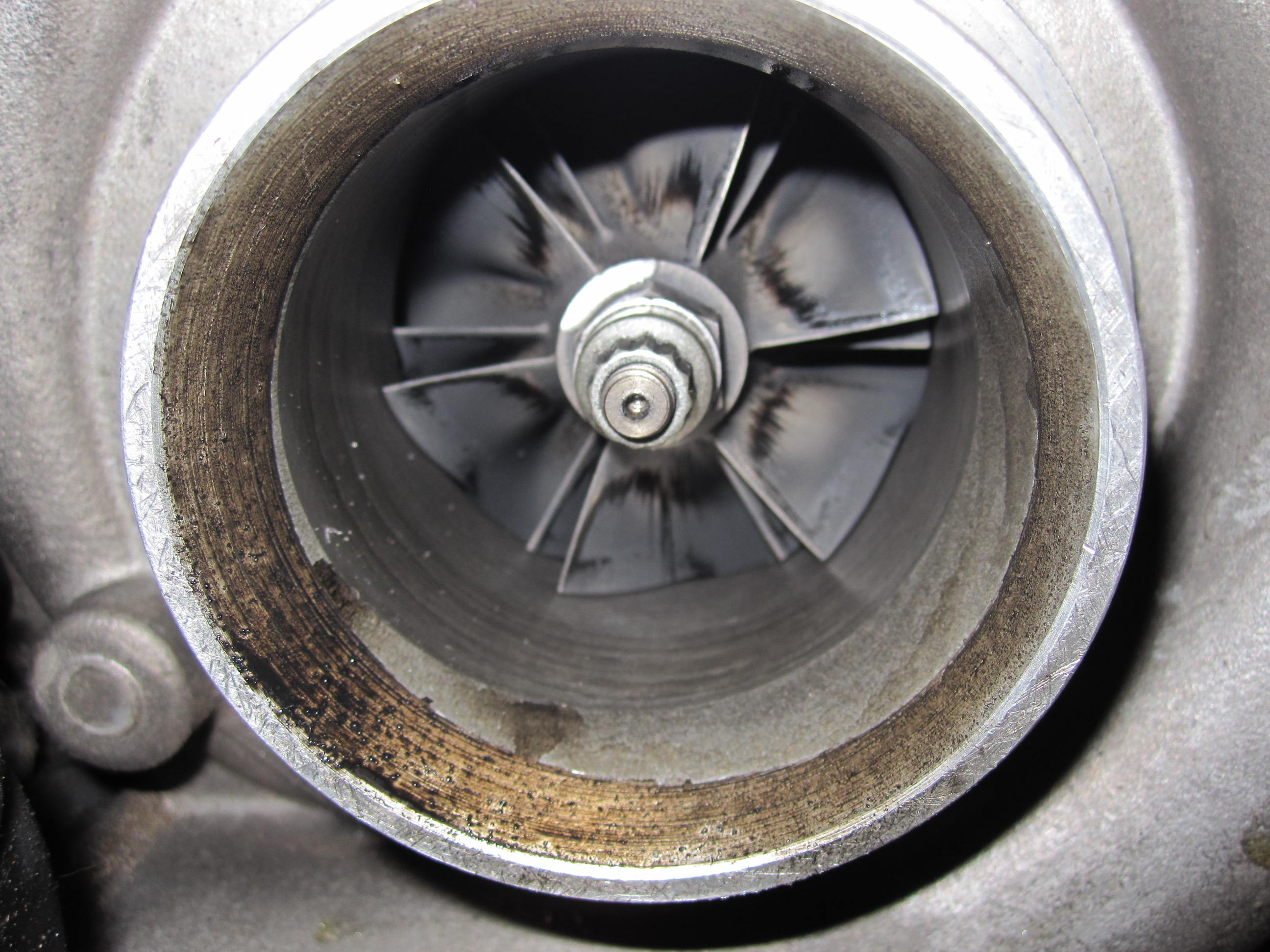 Name:  myZbj.jpg
Views: 352
Size:  536.6 KB