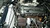 My '91 Turbo track build - GeneSplicer-imagejpeg_2_3.jpg