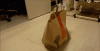 11's on the Motor, 9's on the Nitrous-tumblr_m0w1w0e7vk1qcf1bgo1_400.gif