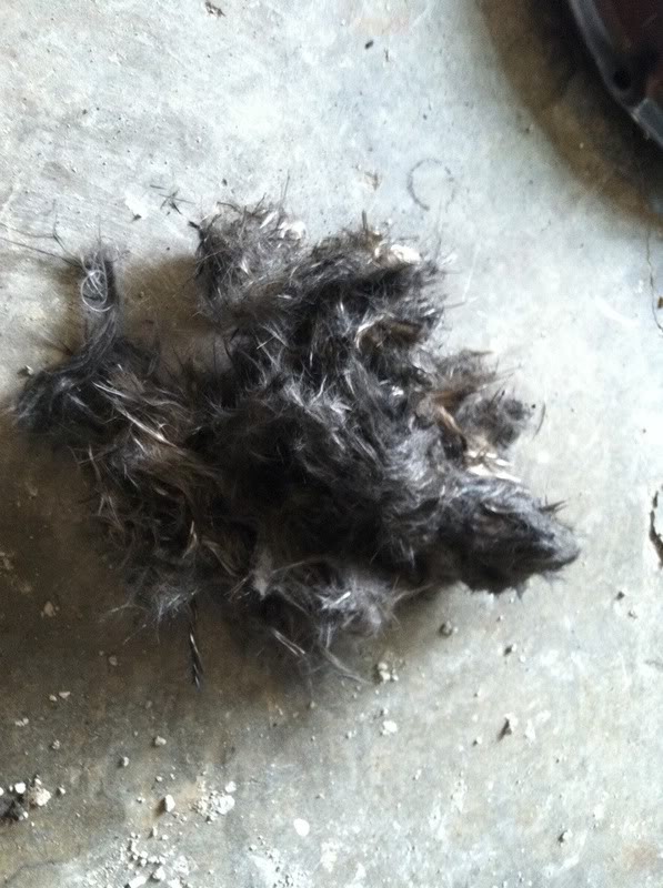 Name:  da1932dc.jpg
Views: 429
Size:  93.4 KB