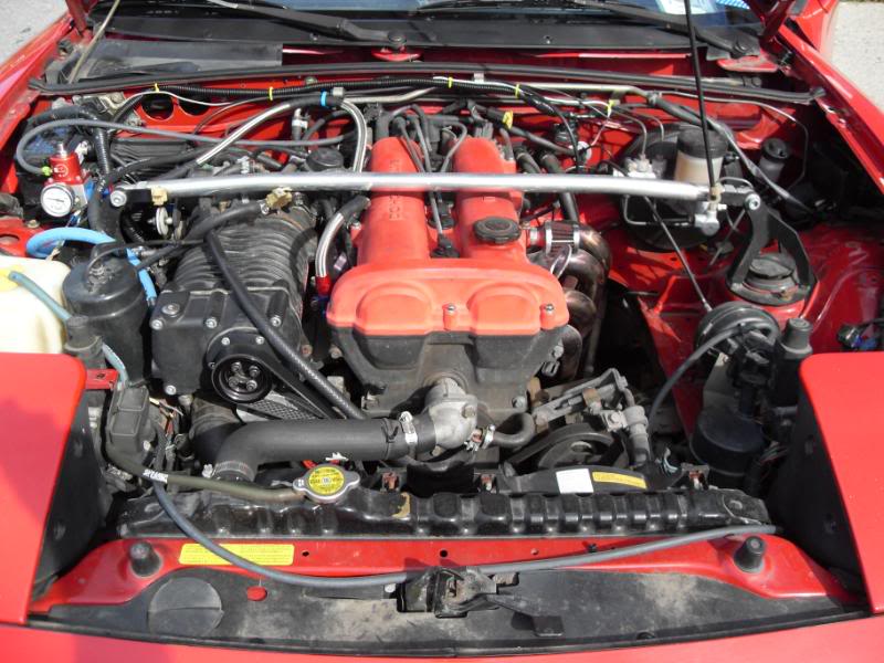 Name:  SDC10687.jpg
Views: 1239
Size:  92.2 KB