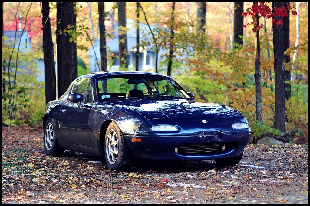 Name:  DSC_00029.jpg
Views: 263
Size:  238.1 KB