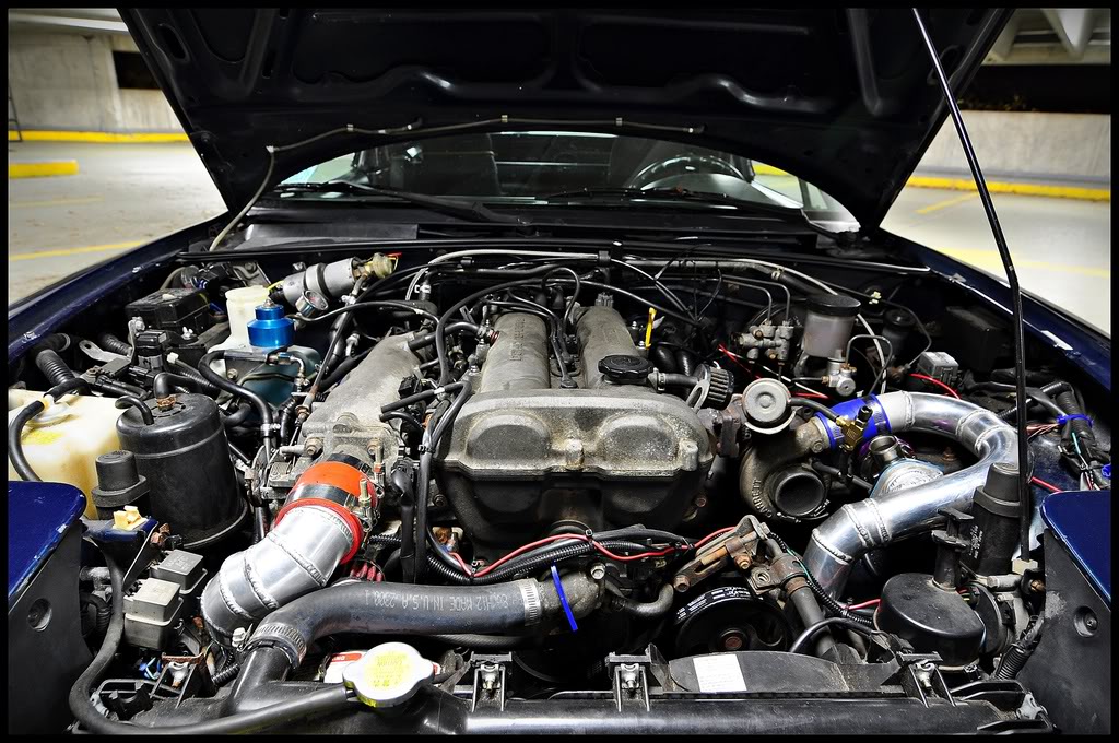 Name:  DSC_00478.jpg
Views: 162
Size:  199.6 KB