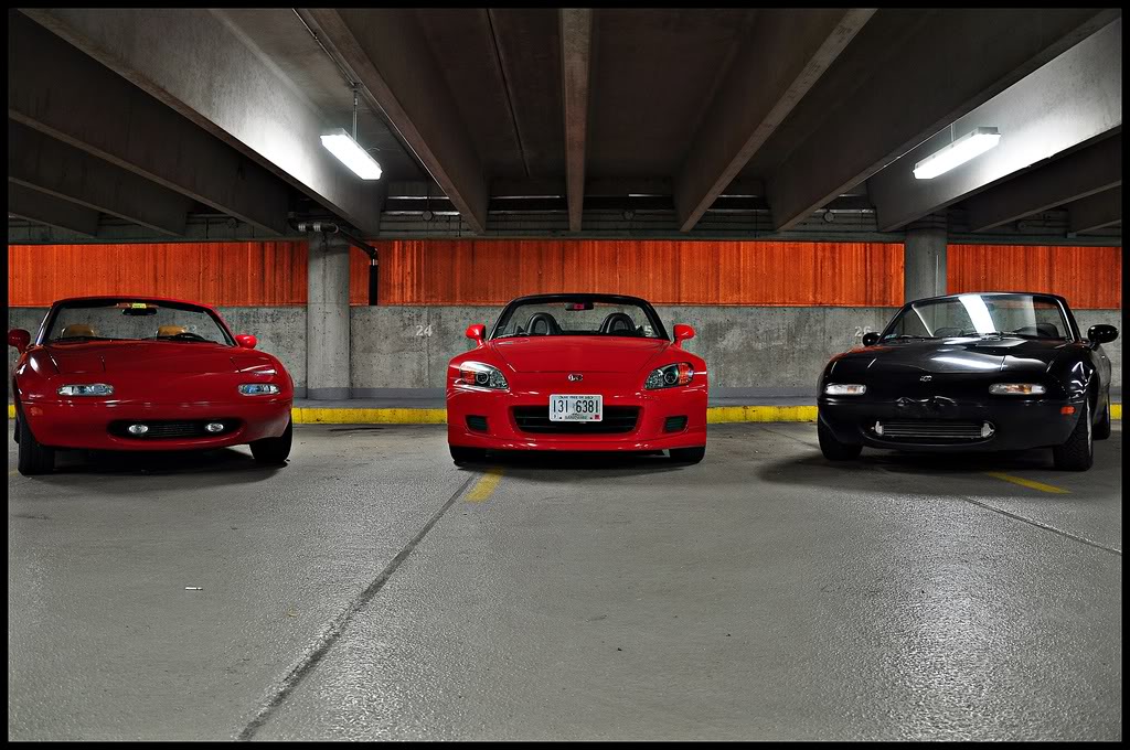 Name:  DSC_00993.jpg
Views: 118
Size:  173.3 KB