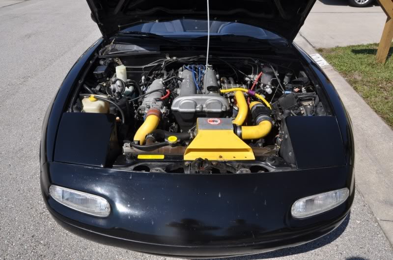 Name:  DSC_0062.jpg
Views: 292
Size:  87.7 KB