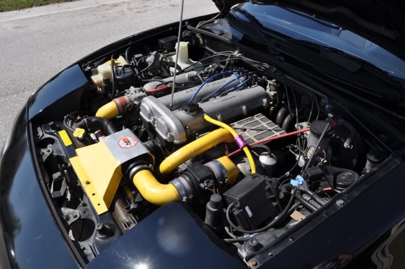 Name:  DSC_0063.jpg
Views: 300
Size:  83.6 KB