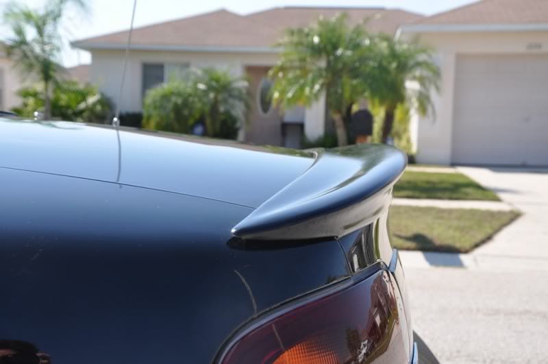 Name:  DSC_0071.jpg
Views: 274
Size:  37.6 KB