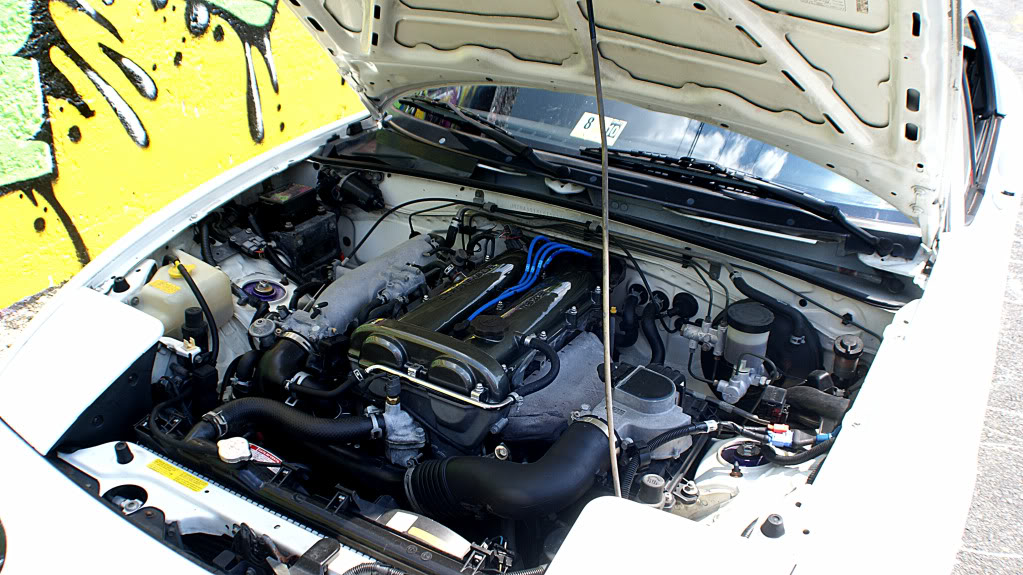 Name:  DSC00498.jpg
Views: 139
Size:  212.3 KB