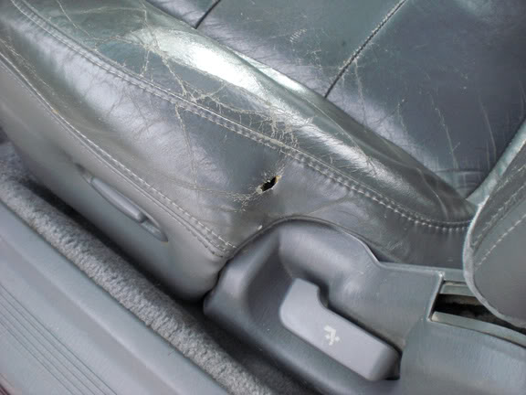 Name:  CIMG4258s.jpg
Views: 392
Size:  45.6 KB