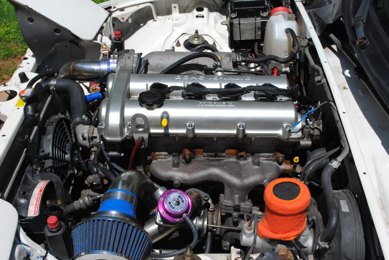 Name:  DSC_0731.jpg
Views: 125
Size:  116.1 KB