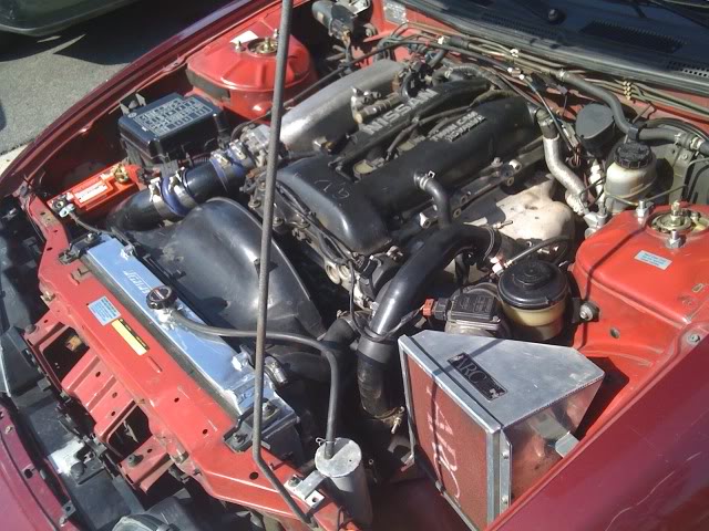 Name:  IMG_0425.jpg
Views: 1042
Size:  84.7 KB