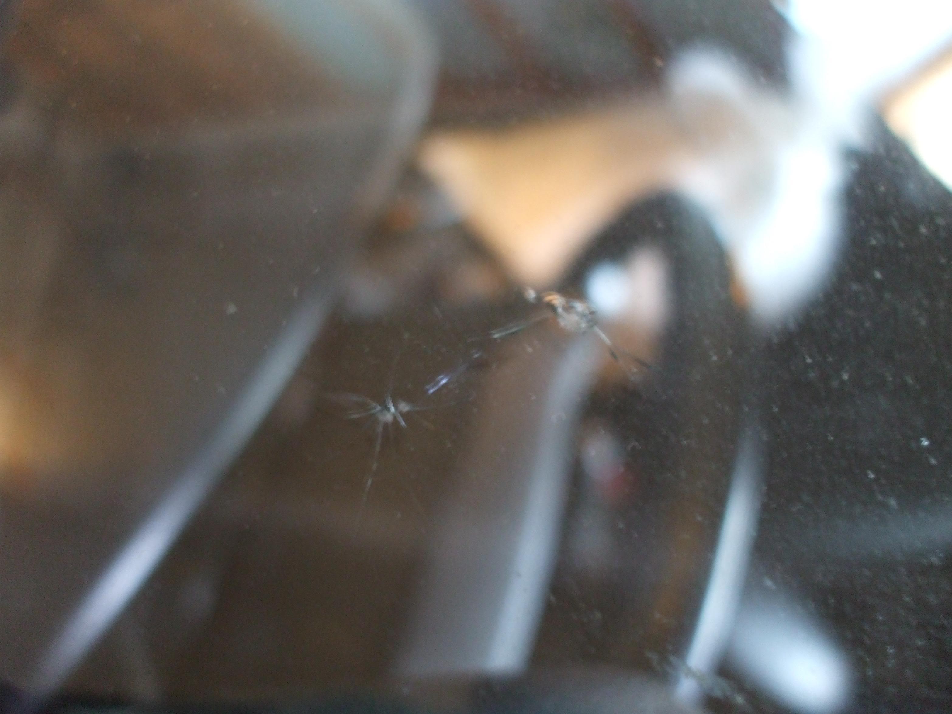 Name:  DSCF1298.jpg
Views: 254
Size:  393.2 KB