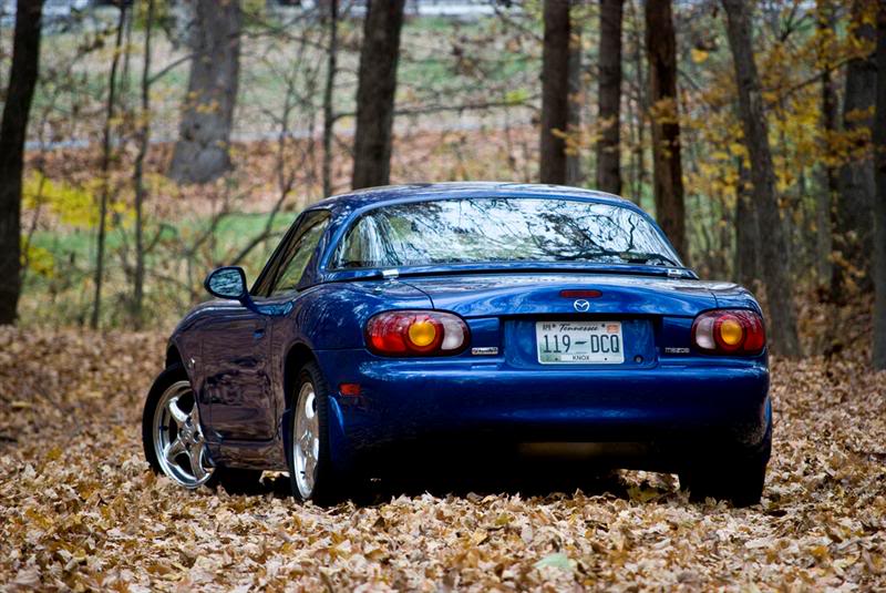 Name:  4110881911_bc7414530a_bMedium.jpg
Views: 533
Size:  92.9 KB