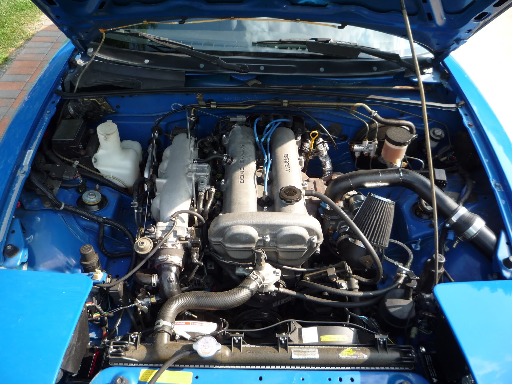 Name:  P1000021.jpg
Views: 104
Size:  392.2 KB