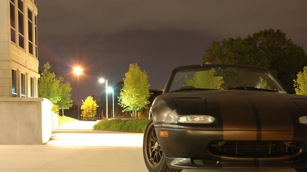 Name:  DSC_3181crop.jpg
Views: 164
Size:  101.1 KB