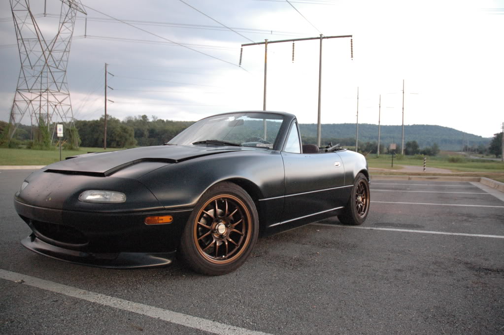 Name:  DSC_5764.jpg
Views: 204
Size:  138.3 KB