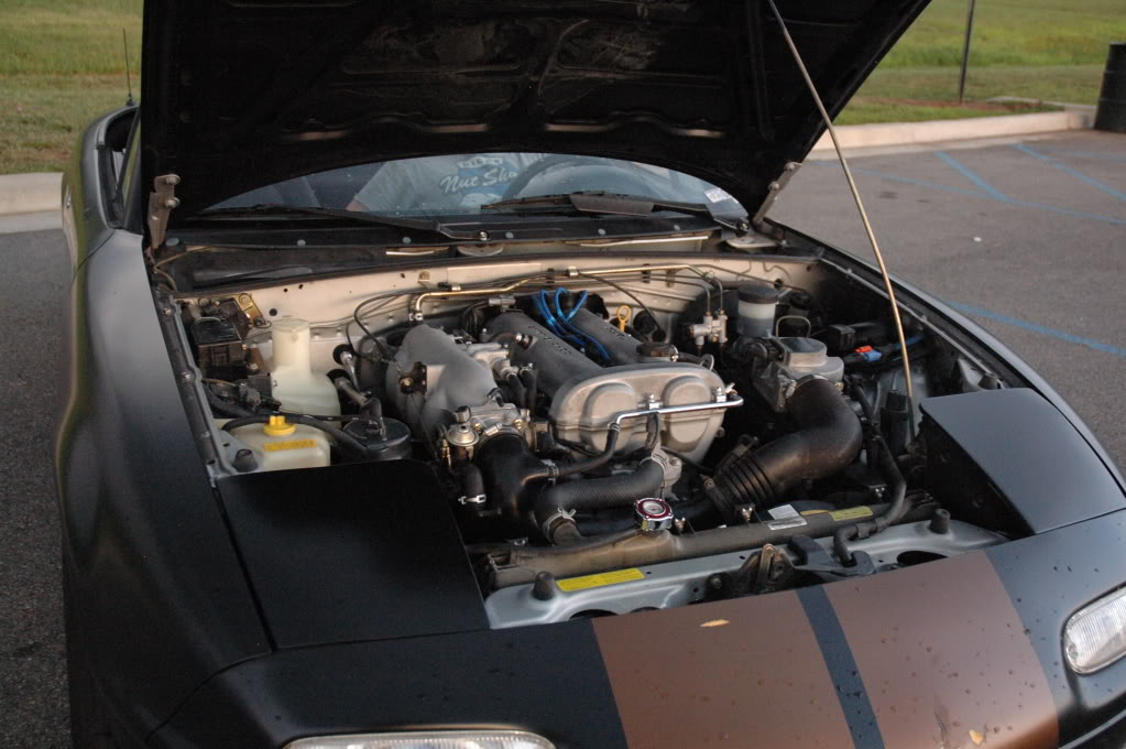 Name:  DSC_5771.jpg
Views: 133
Size:  127.0 KB