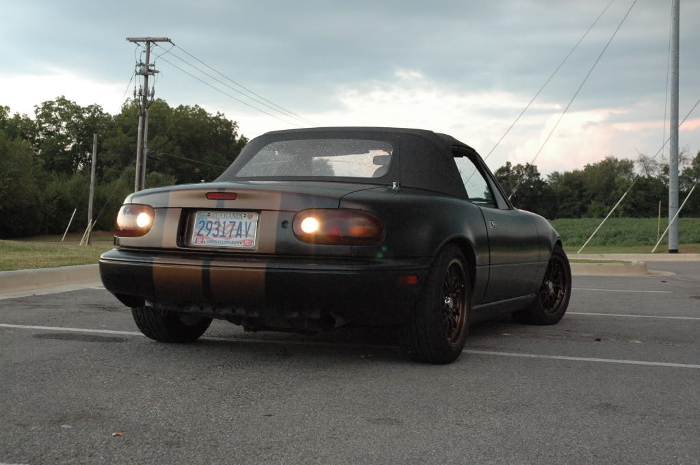 Name:  DSC_5732.jpg
Views: 189
Size:  136.8 KB