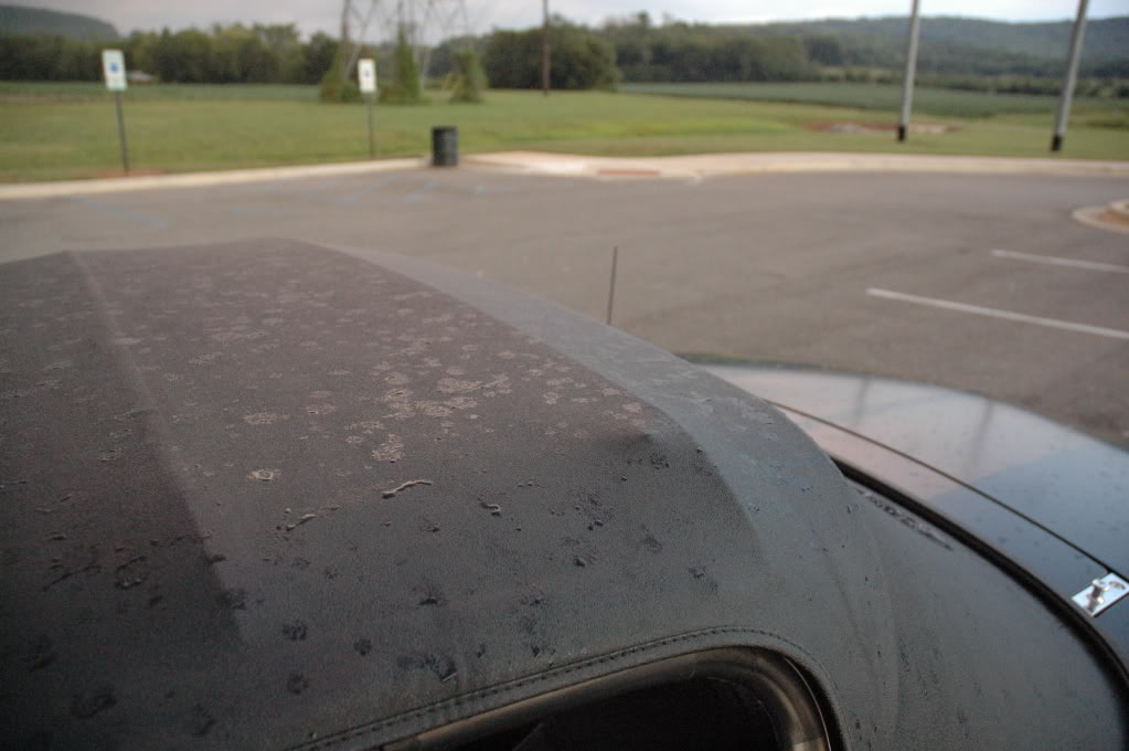 Name:  DSC_5748.jpg
Views: 133
Size:  99.0 KB