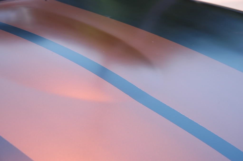 Name:  DSC_3861.jpg
Views: 128
Size:  50.4 KB