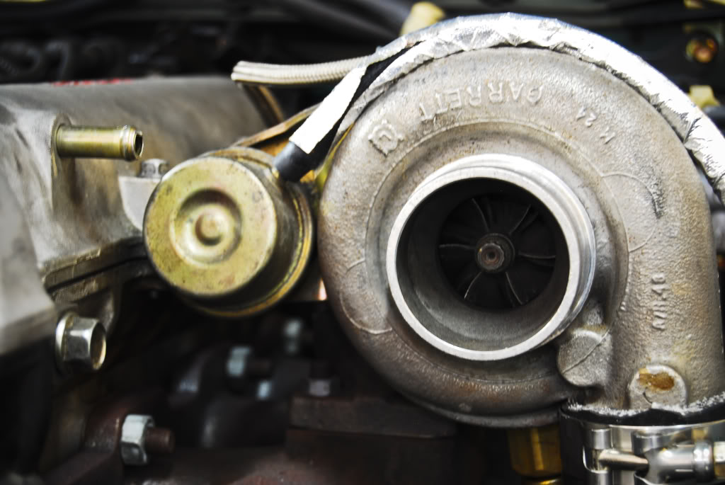 Name:  DSC_1429.jpg
Views: 177
Size:  100.8 KB