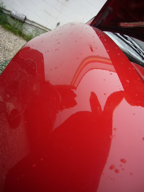 Name:  P1120098.jpg
Views: 217
Size:  62.1 KB