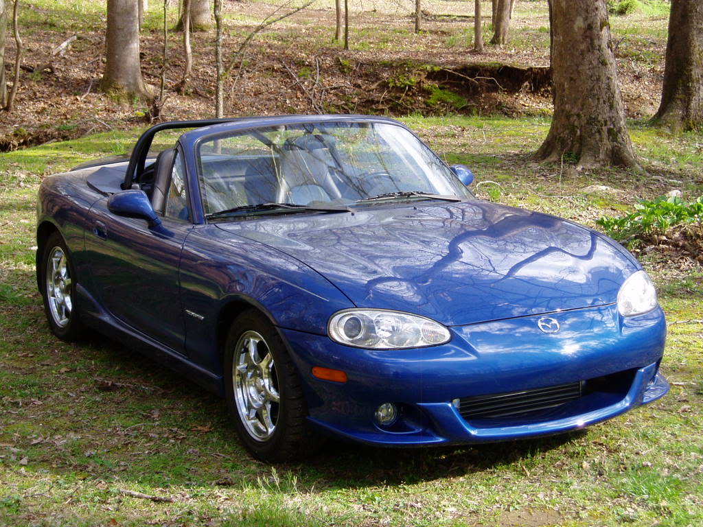 Name:  P1010033.jpg
Views: 317
Size:  169.1 KB