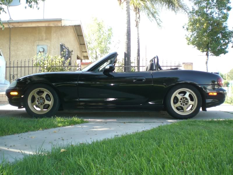 Name:  CIMG4971.jpg
Views: 105
Size:  138.2 KB