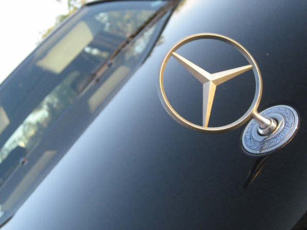 Name:  IMG_6448.jpg
Views: 74
Size:  21.4 KB