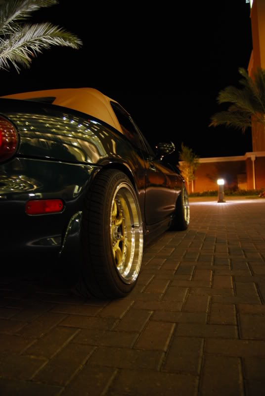 Name:  DSC_0251.jpg
Views: 235
Size:  76.6 KB